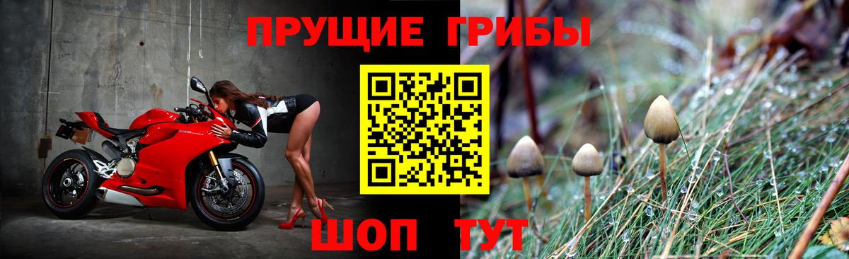 Костомукша  Псилоцибиновые грибы мухоморы  купить   Вход с VPN 